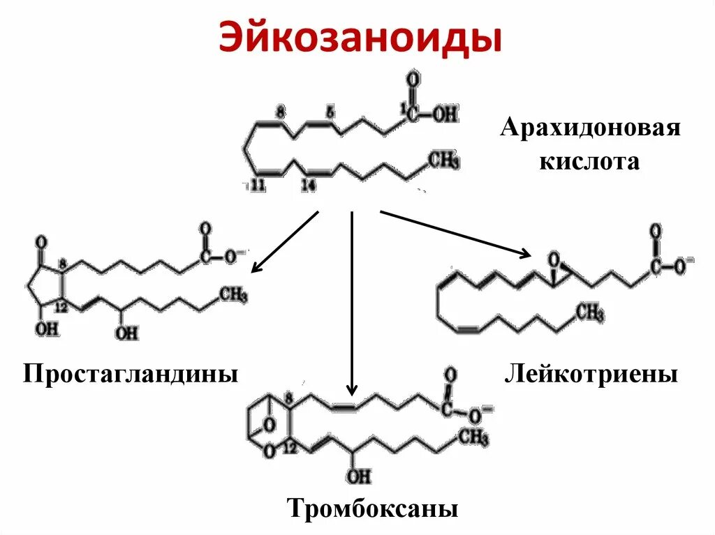 Формула арахидоновой кислоты. Арахидоновая кислота производные. Арахидоновая кислота биохимия. Производные арахидоновой кислоты биохимия. Гормоны производные арахидоновой кислоты биохимия.