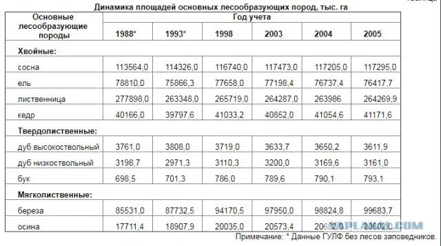 Основные лесообразующие породы. Главные лесообразующие породы. Основные лесообразующие породы России. Таблица 1.2 динамика площадей основных лесообразующих пород (тыс. Га).. Основные лесообразующие породы Башкортостана.