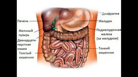 Тілді мастурбациялау туралы бейне