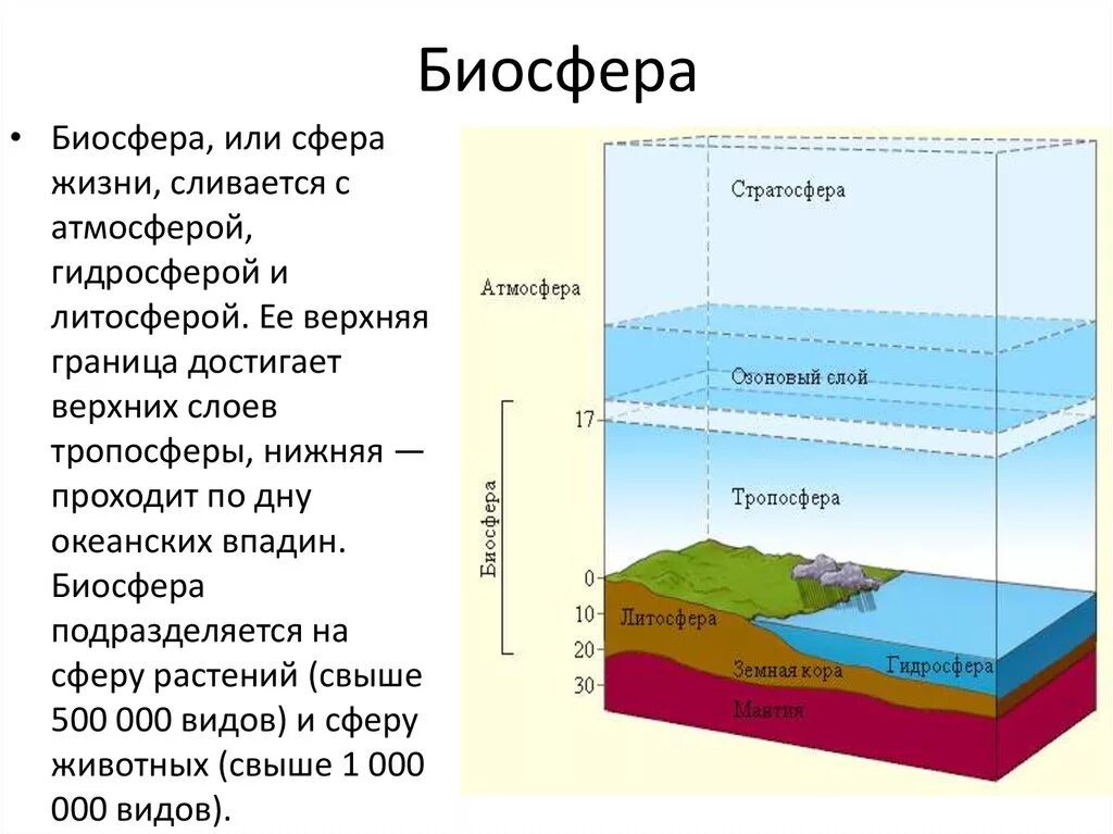 Распространение жизни в атмосфере ограничивает. Атмосфера литосфера гидросфера Биосфера Тропосфера стратосфера. Из чего состоит Биосфера кратко. Биосфера гидросфера атмосфера литосфера схема. Границы биосферы 6 класс география.