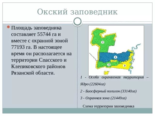 Окский заповедник карта заповедника. Окский заповедник в Рязанской области на карте. Границы Окского заповедника в Рязанской области. Заповедники на территории Рязанской области. Природная зона рязанской области