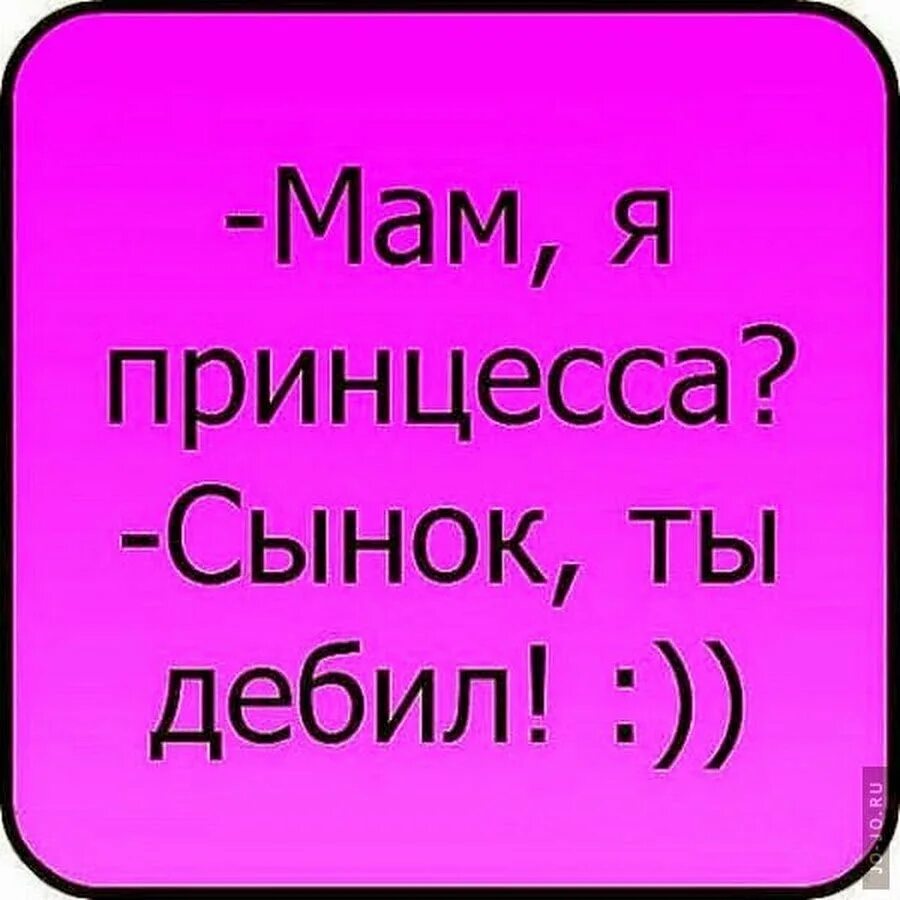 Смешные фразы. Самые смешные фразы. Мемные фразы. Смешные цитаты.