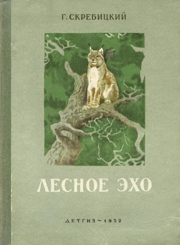 Ю. Скребицкий лесное эхо книга. Лесное эхо книга. Эхо рассказов. Эхо рассказов.