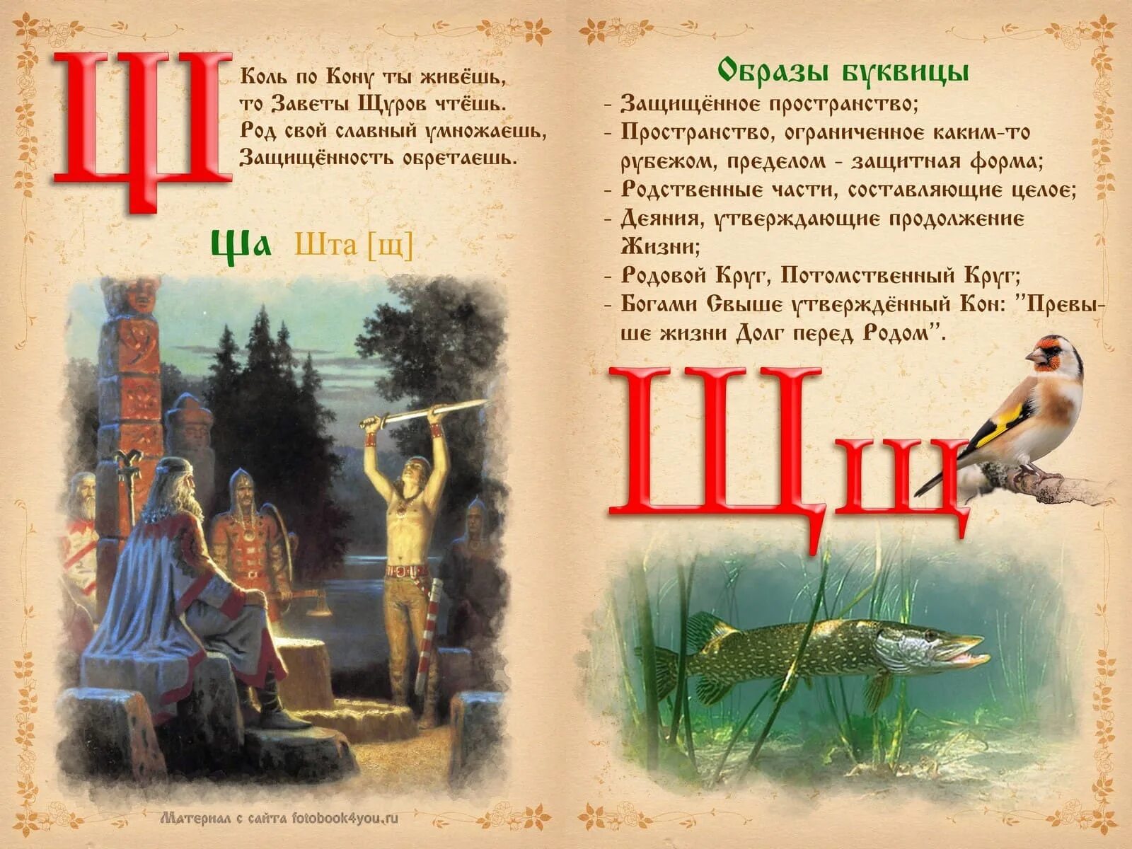 Славянская буквица с образами. Древнерусская буквица и церковнославянская азбука. Древнеславянская буквица буки. Старославянский алфавит значение. Древнеславянская (древлесловенская) буквица.