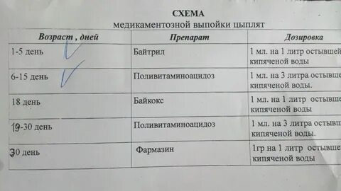Чем пропоить кур осенью