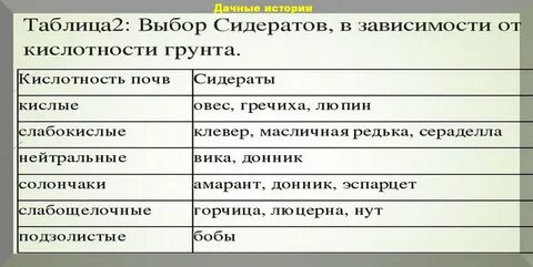 Какие сидераты лучше сеять осенью после