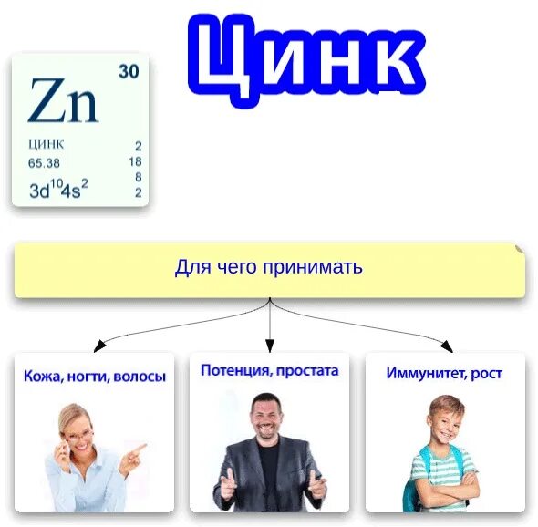 Цинк польза и вред для организма. Цинк. Цинк полезен для мужчин. Цинк полезен для организма. Функции цинка в организме человека.