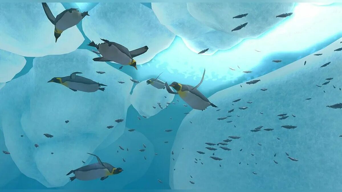 Endless ocean aquatic adventures