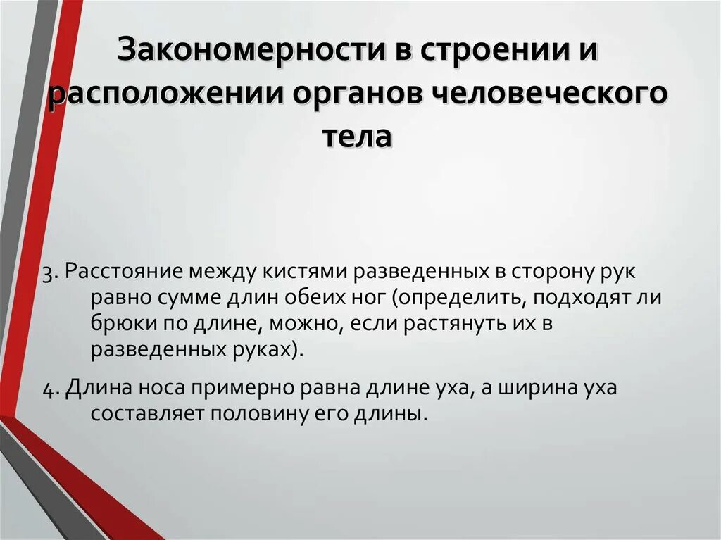 Основные закономерности урока. Закономерности органов. Закономерности в теле человека. Закономерности строения организма. Закономерности строения и функционирования тела.