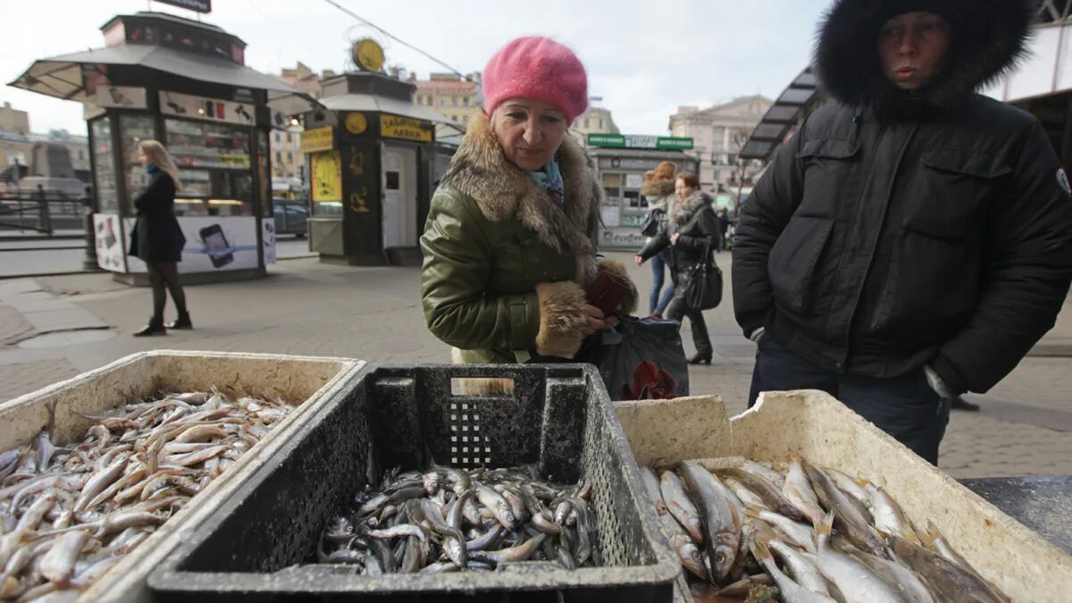 Корюшка в неве. Корюшка петропавловская крепость 3 ресторан. Корюшки в неве санкт-петербурге. Корюшка в неве. Праздник корюшки спб.