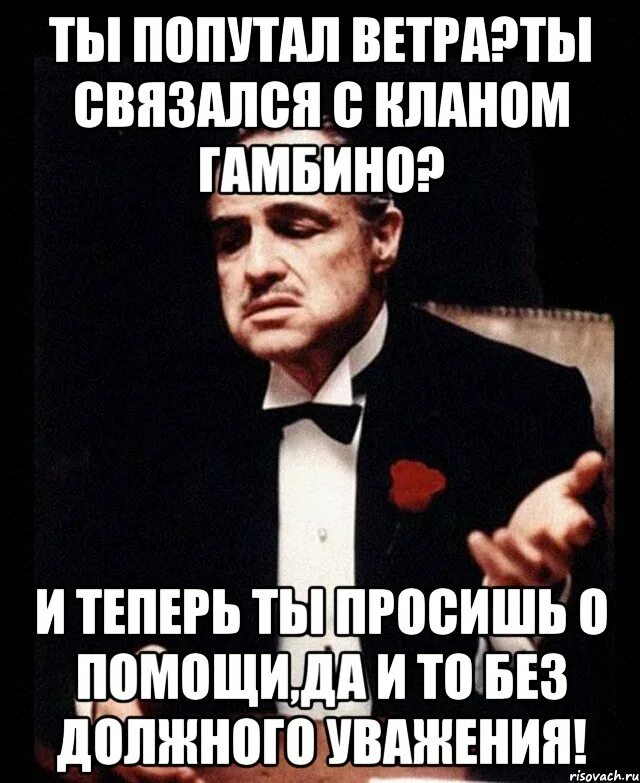 Попутал бес песня. Ты попутал берега. попутал мем. ты попутал ветра. ты че попутал.