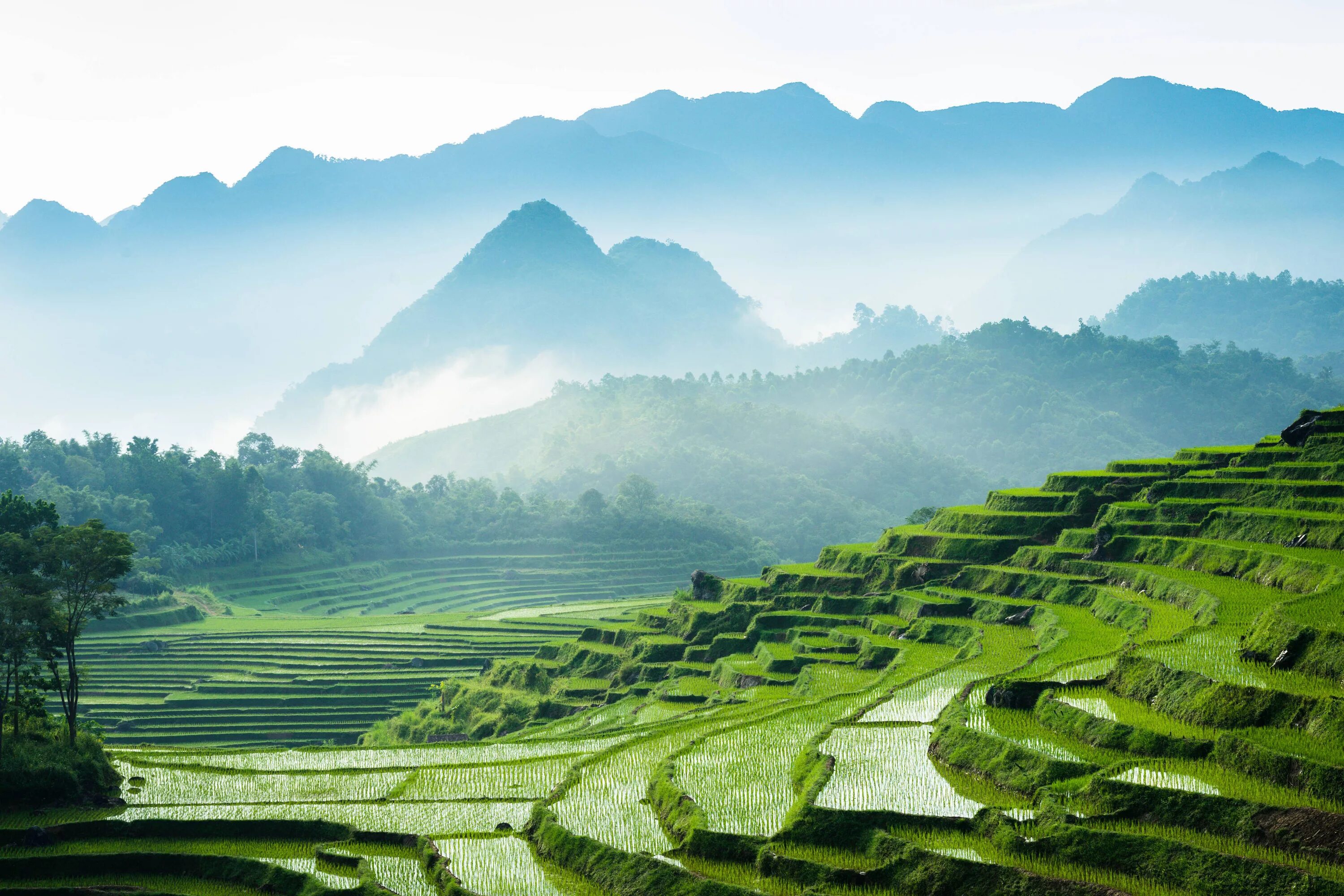 Best vietnam. Равнина Бакбо Вьетнама. Ландшафт Вьетнама. Вьетнам горы. Природа Южного Вьетнама.