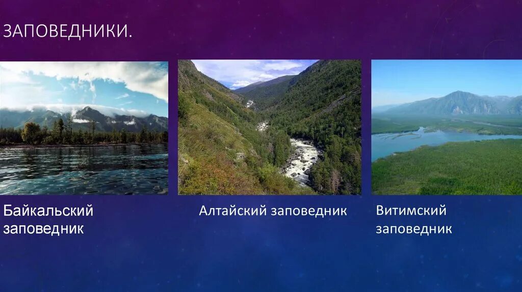 Экологические проблемы заповедников. Проблемы заповедников. Экоэтические проблемы заповедников. Проблемы заповедников. Проблемы заповедников.