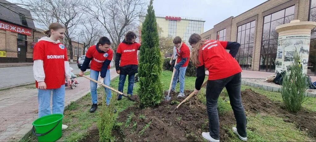 Работа в зеленом городе. Работа в зеленом городе