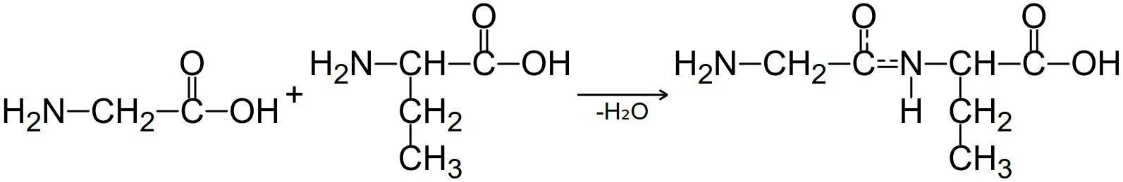 2 67 3 83. Глицин уравнение реакции. Дипептид глицина. Уравнения реакций 2-аминобутановой кислоты. Аминобутановой кислоты.