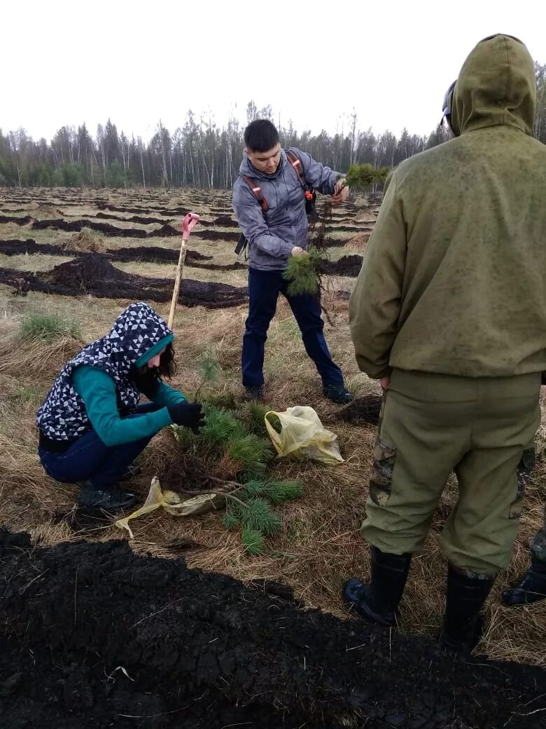Погода в кедровом томской