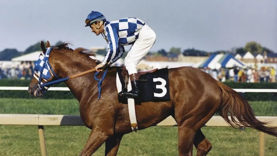 Номер секретариата. Secretariat Preakness stakes. Секретариат Барбаро резвая. Секретариат Белмонт Стейкс. Кристофер Ченери секретариат.