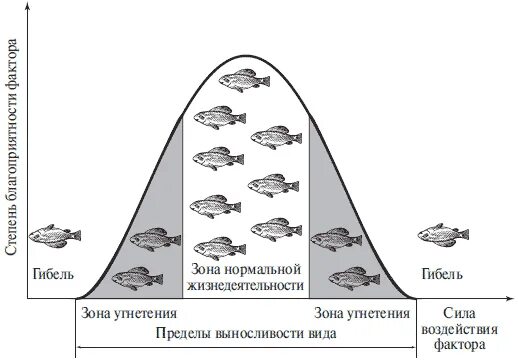 Схема действия факторов среды на живые организмы. Схема действия фактора среды на организмы. Схема действия фактора на организм. Лимитирующий фактор. Экологический Оптимум.. В экологии существуют определенные закономерности воздействия экологических