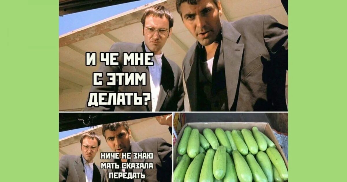Смешной кабачок. Шутки про кабачки. Смешной кабачков. Смешной кабачок. Кабачки мем.