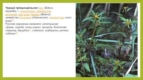 Географический процесс это длительная череда чего