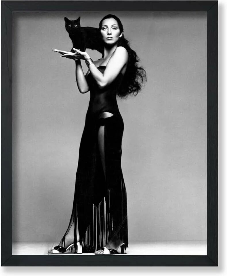 Cher французский. Cher французский