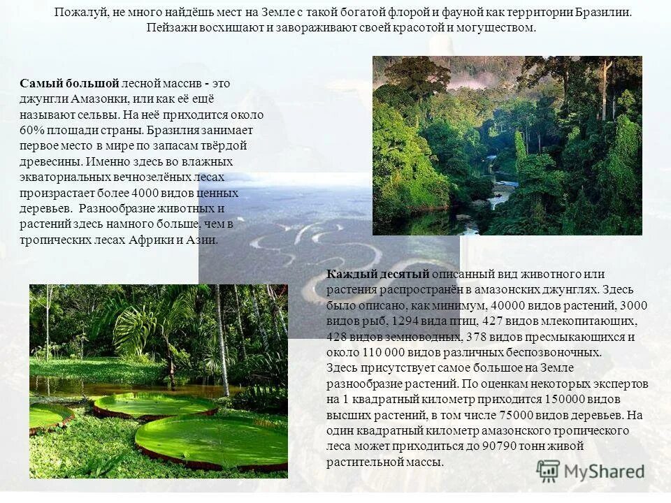 бразилия занимает 1 место по.