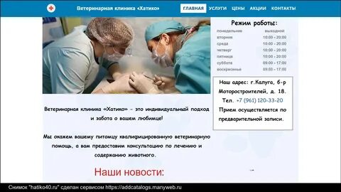 Отзывы клиники хатико
