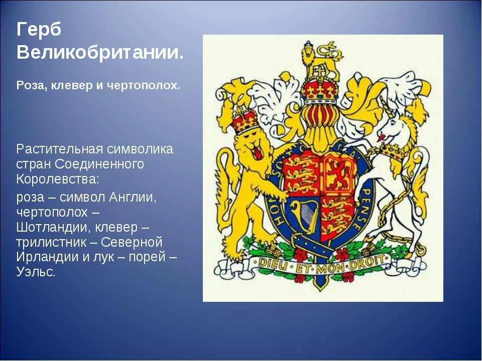 Страны на гербах которых изображены растения. Растения на гербах и флагах. герб великобритании. герб страна с растением на флаге. цветы на гербах разных стран.