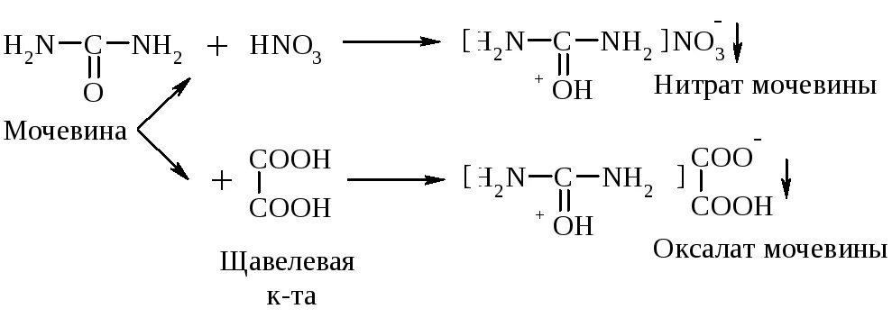 Синтез нитратов. Мочевина щавелевая кислота реакция. Образование нитрата и оксалата мочевины. Реакция получения оксалата мочевины. Образование нитрата мочевины.