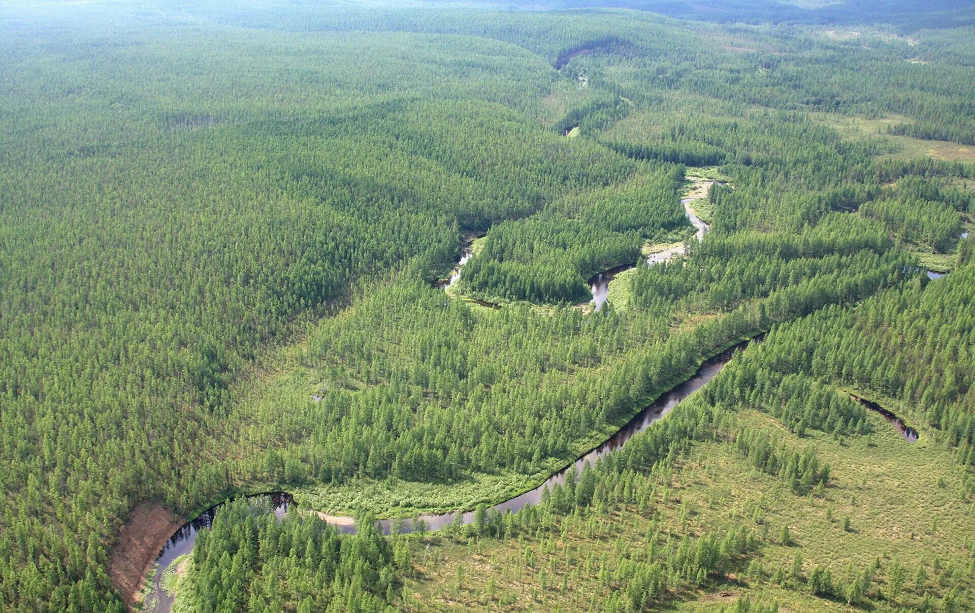 Тайга высота над уровнем моря. Тунгусский заповедник метеорит. Подкаменная Тунгуска метеорит. Тунгусский метеорит Красноярский край. Подкаменная Тунгуска Тайга.