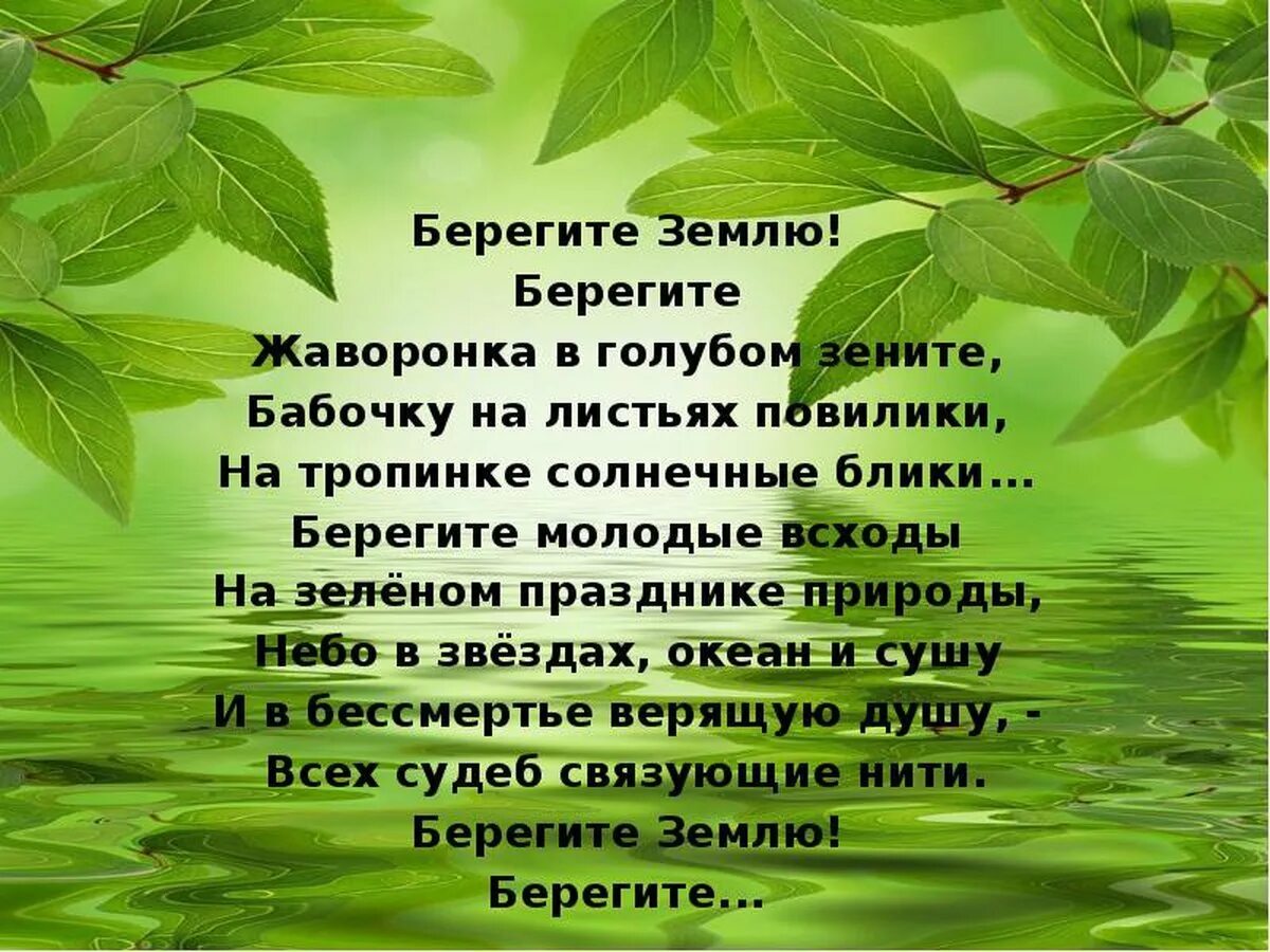 Стихи 20 века о защите природы. Экология и охрана природы. Всемирный день охраны окружающей среды. День охраны природы и окружающей среды. Берегите природу.