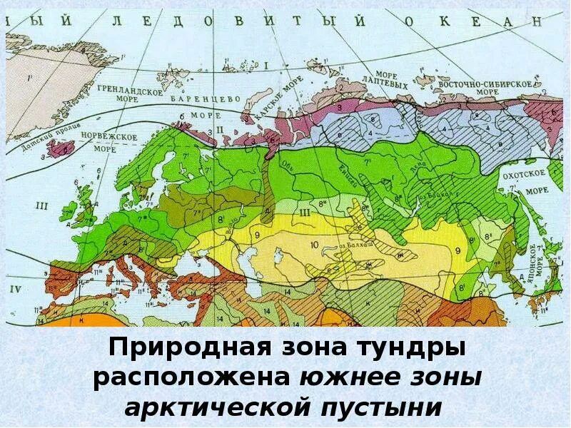 Тундра между природными зонами. Тундра на карте природных зон. Тундра на карте России природных зон. Зона тундры расположена южнее. Название природной зоны тундры.