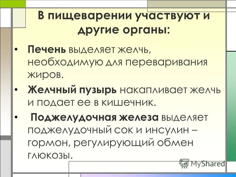 В пищеварении принимает участие желчь. Функции желчи печени в пищеварении. Участие желчи в пищеварении. Перечислите функции желчи физиология. Роль желчных кислот в пищеварении.