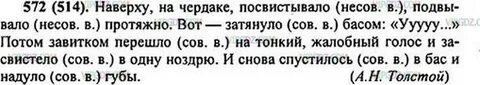 Русский язык 6 класс чердаков
