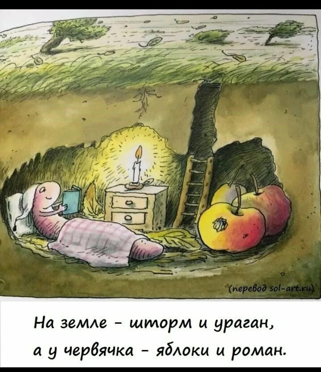 Доброе утро червячок. Яблоки юмор. Яблоко и червячок. Неважный дом