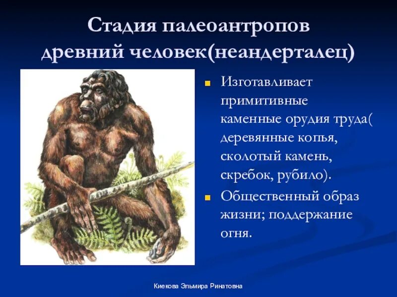 Древние люди Палеоантропы. Неандерталец. Человек неандерталец. Неандерталец образ жизни. Социальные черты неоантропов