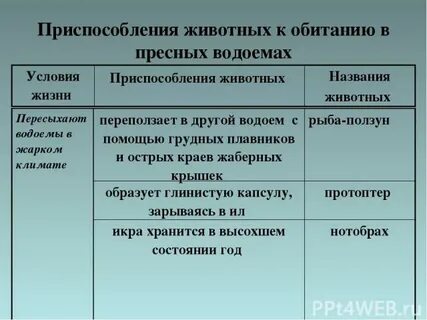 Приспособления к условиям обитания