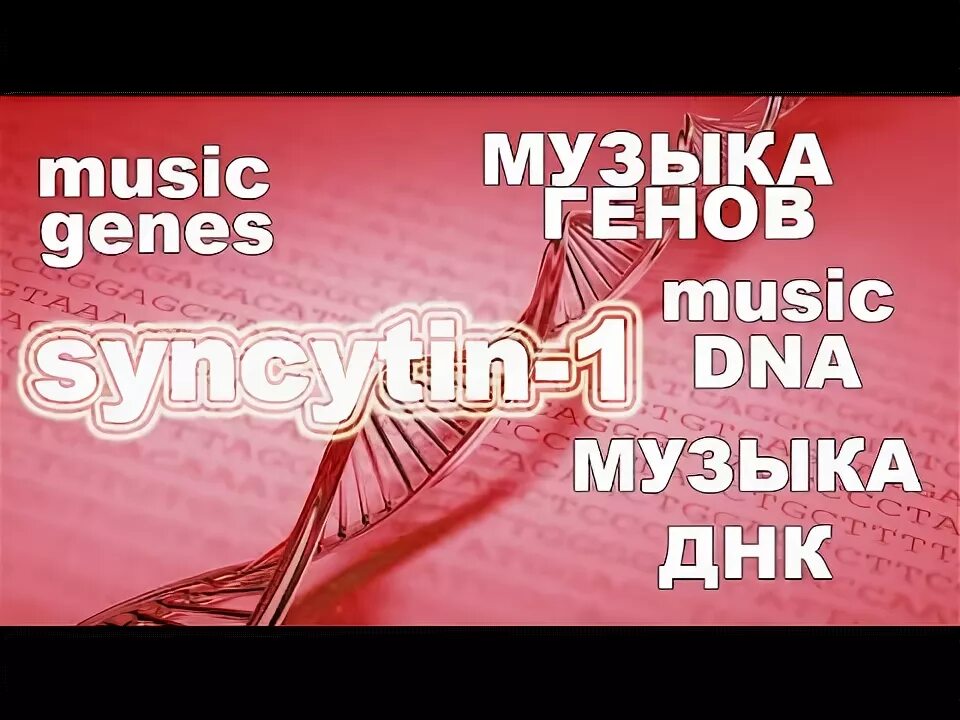 Днк песня текст. ДНК мелодии. Музыка генов. ДНК песня. Песня DNA.