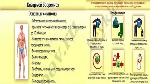 Боррелиоз диагностика