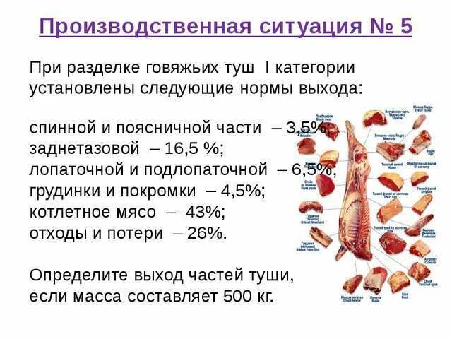 Сколько теряет мясо. Потери отходов при разделки. Процентное соотношение частей туши говядины. Соотношение мяса и костей в говядине. Разделка туши говядины нормы выхода.