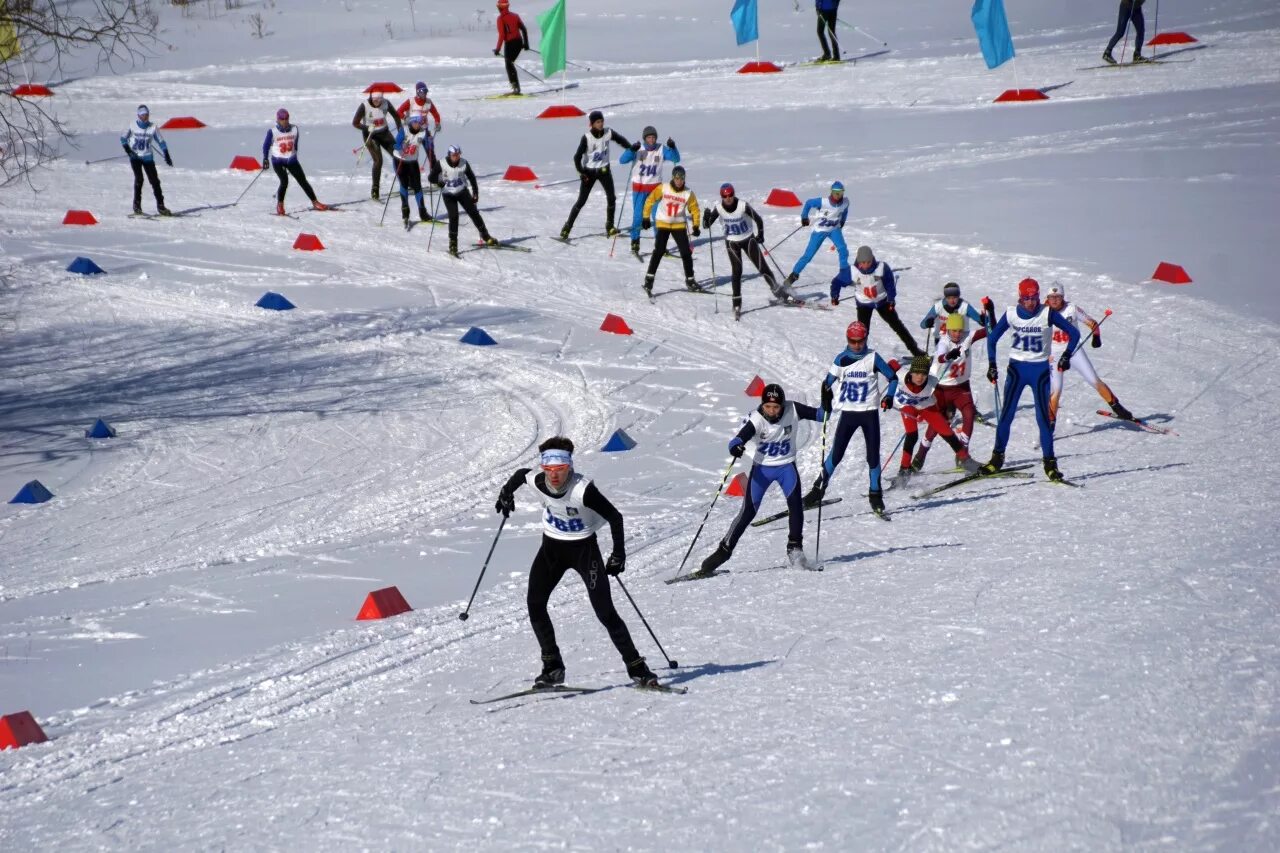 Трасса лыжных гонок состоит из 4 участков. Лыжные гонки. Лыжные соревнования. Спорт лыжные гонки. Соревнования по лыжам.