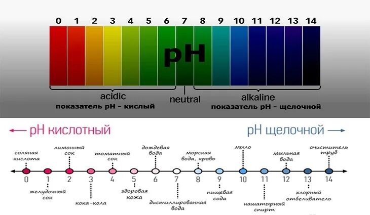 Шкала кислотности ПШ. Кислотно щелочная шкала PH. PH кислая щелочная нейтральная. Шкала кислотности-щелочности (PH).. Щелочная и кислая вода