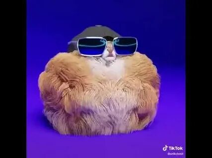 Хомяк тик