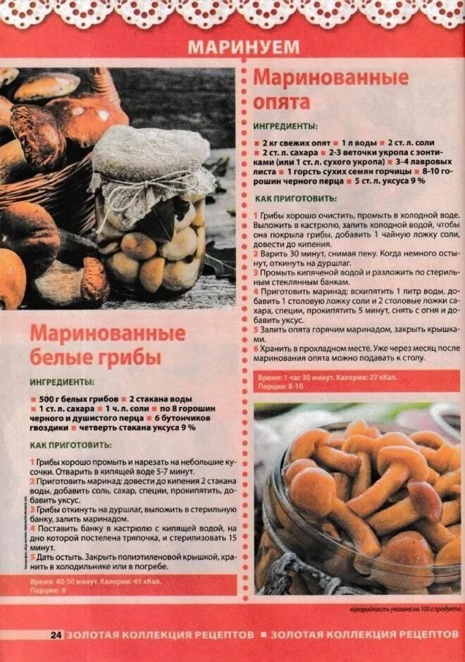 Маринованные грибы рецепт на зиму с эссенцией. Рецепты заготовок. Рецепты заготовок. Маринованные грибы рецепт на зиму с эссенцией. Маринованные грибы рецепт на зиму с эссенцией.