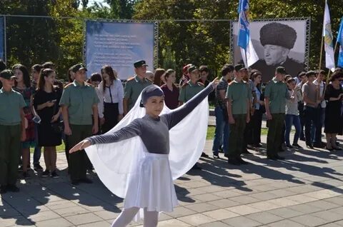 Белые журавли дагестан