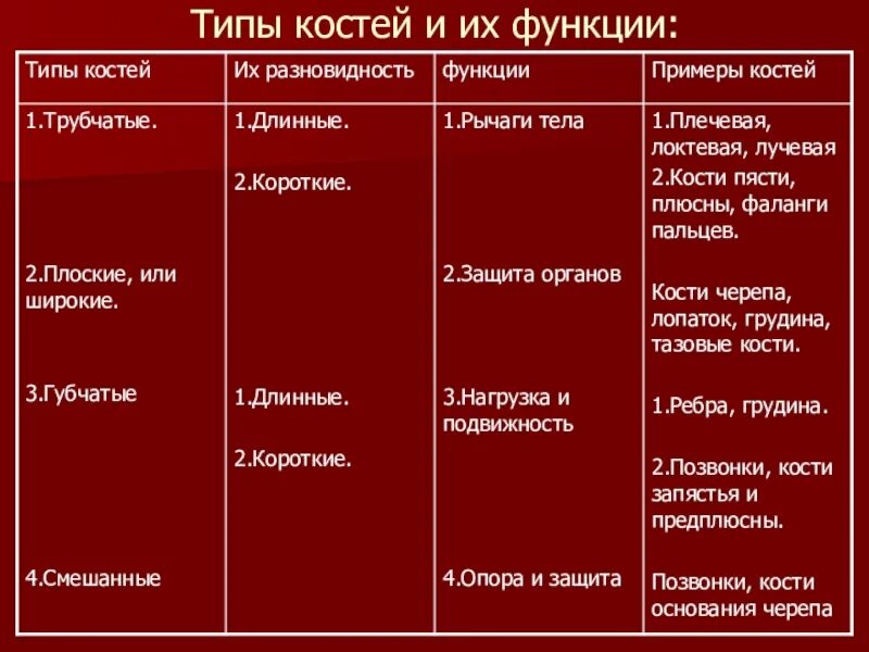 Укажите функции костей. Типы костей таблица. Виды костей таблица 8 класс. Трубчатые кости таблица. Форма костей человека таблица.