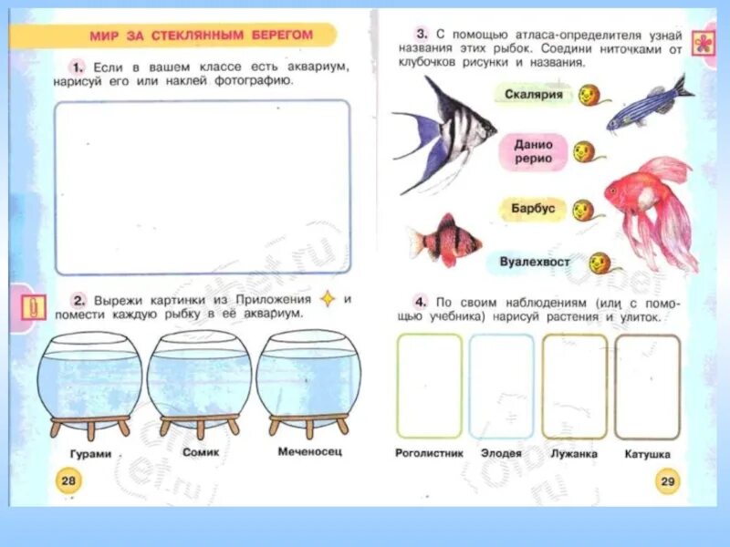 Рыбы задания окружающий мир. Аквариумные рыбки задания. Рыбы 1 класс окружающий мир. Аквариумные рыбки логопедические задания.