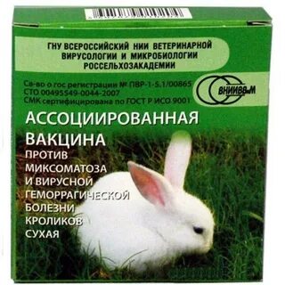 Вакцина вгбк инструкция по применению