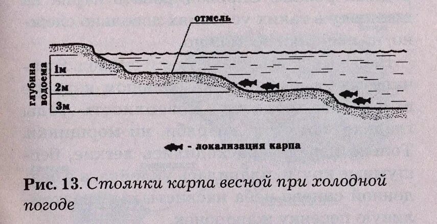 Выбор места для ловли сазана на реке. Места ловли сазана. Перспективные места ловли рыбы на реке. Зимняя снасть на сазана. Перспективные места для ловли.