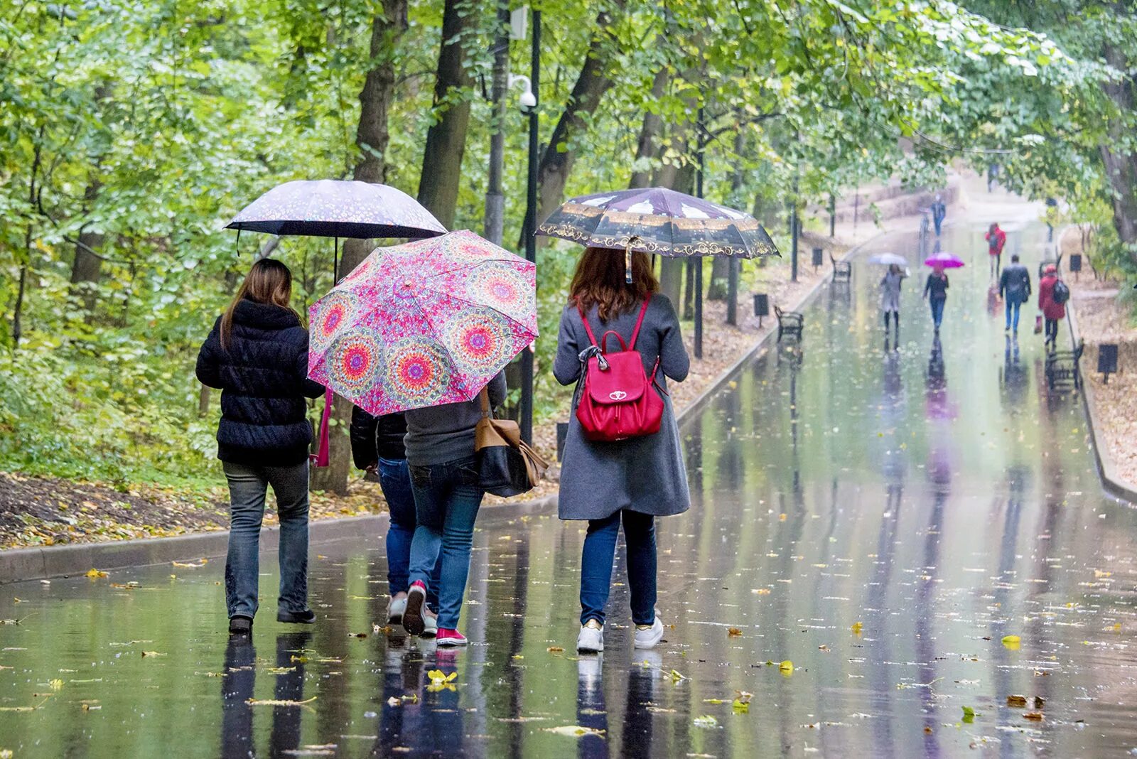 Дождь летом. Дождливая погода. Дождливый день Россия. Легкий дождик.